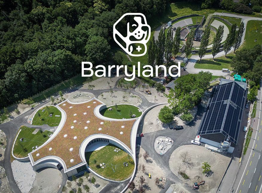 Un nuovo spazio dedicato ai cani San Bernardo