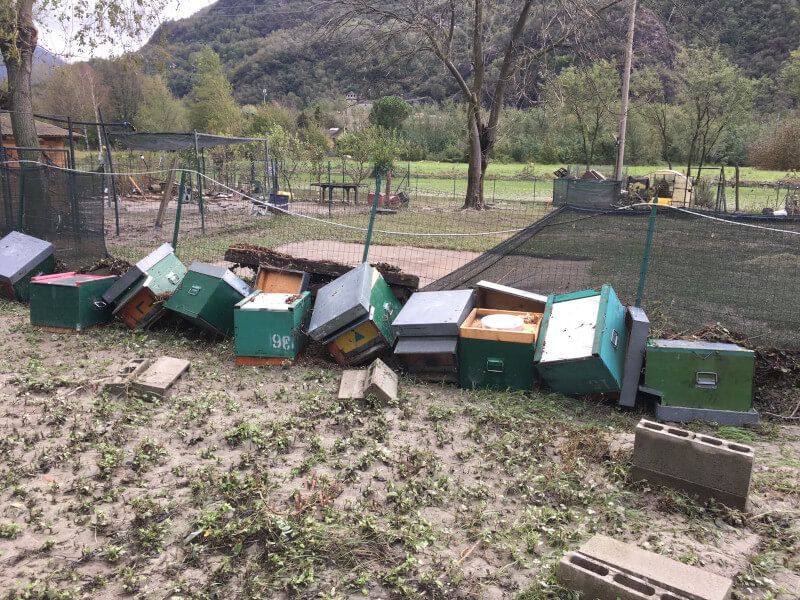 L’alluvione colpisce pesantemente l’apicoltura dell’Ossola