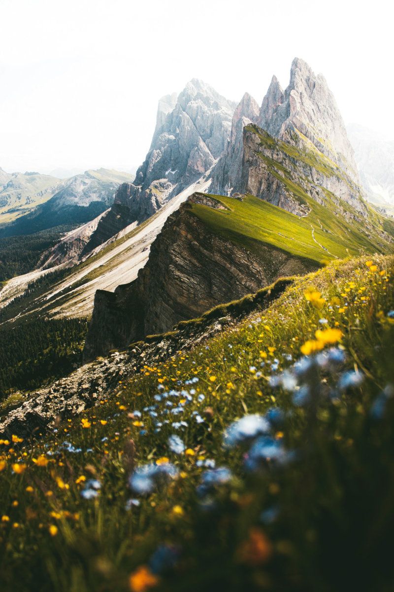 L'Importanza degli NFT nell'Economia della Montagna