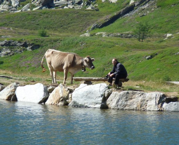 La mucca e il pescatore