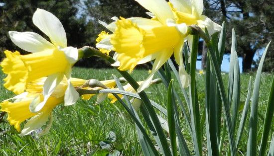Con il Cai Macugnaga nel Parco del Beigua
