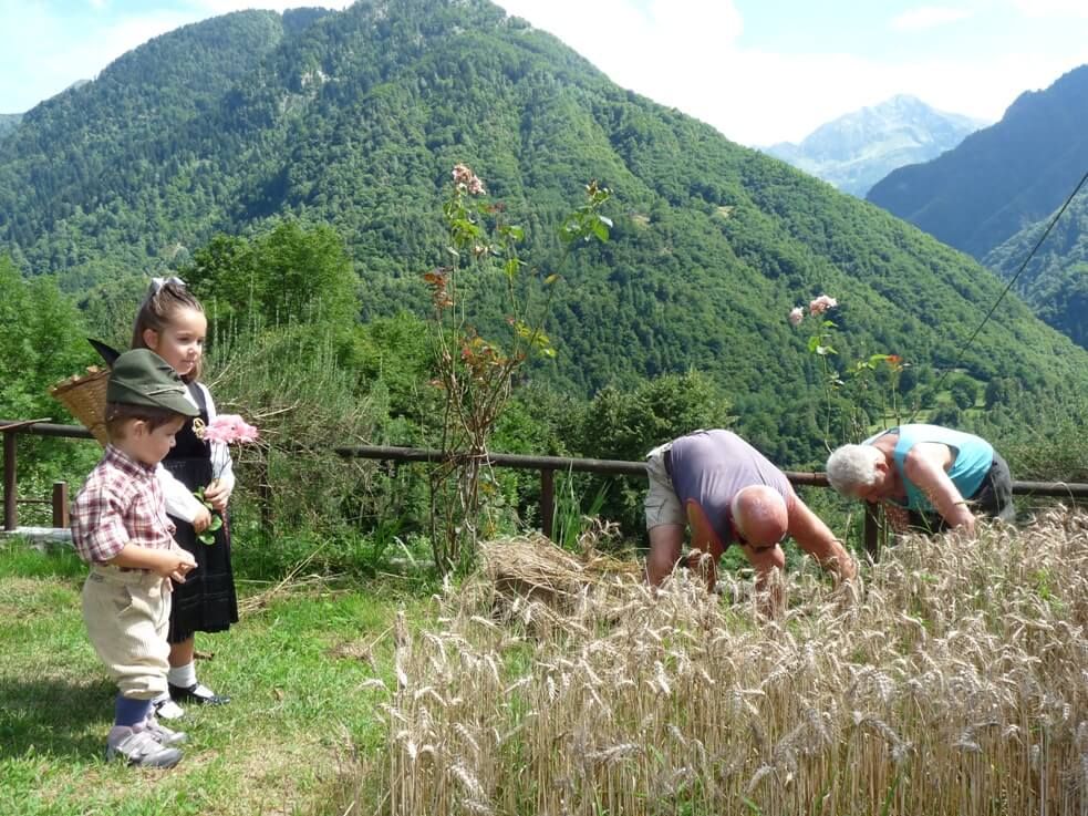 Il Grano dul Gagg