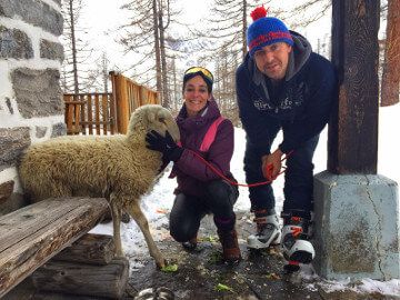 Salvata la pecora della Zamboni
