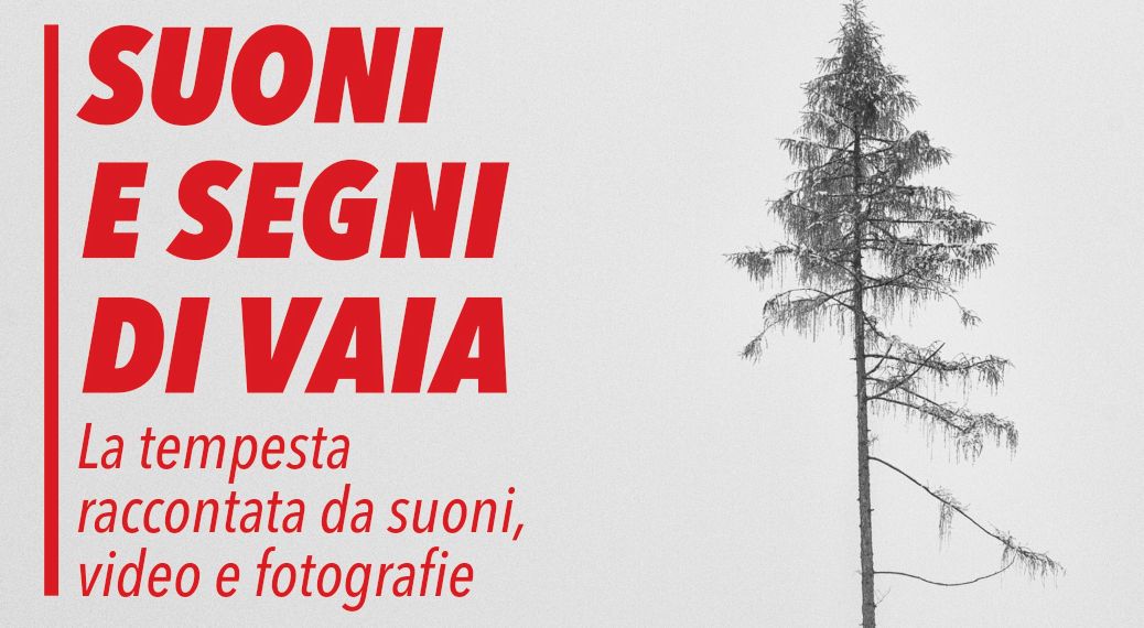 Suoni e segni di Vaia
