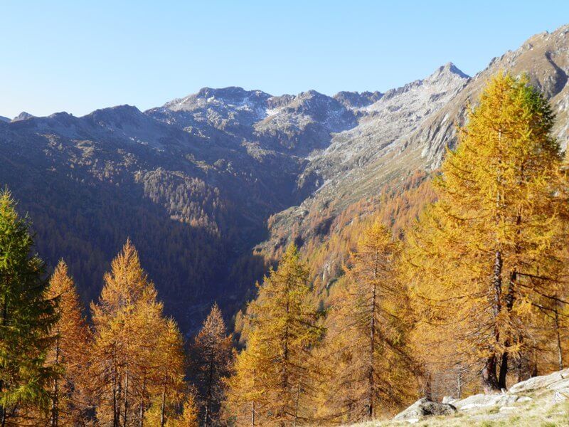 Gli alpeggi muti e silenziosi di Val Bianca e Olocchia