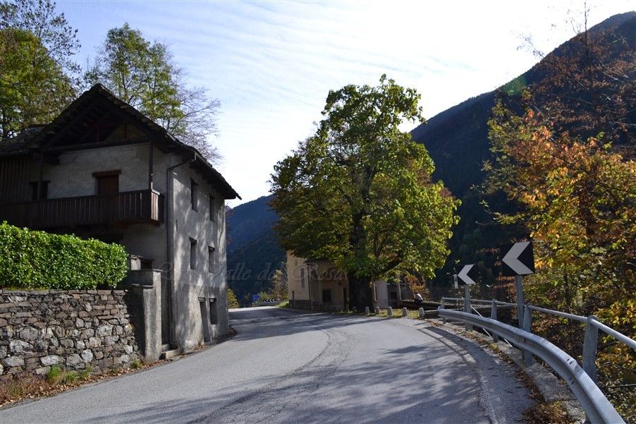 Provinciale 66, i Sindaci scrivono alla Provincia e all’Anas