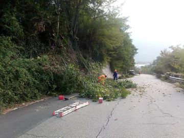 Giornata ecologica, organizzata dal Comune di Piedimulera