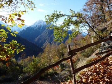 Au revoir, goodbye… arvogas