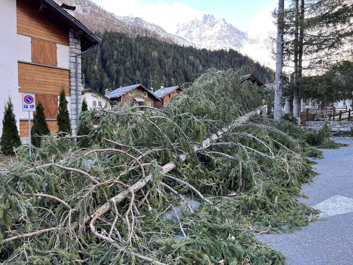 Tempesta di vento in Valle Anzasca