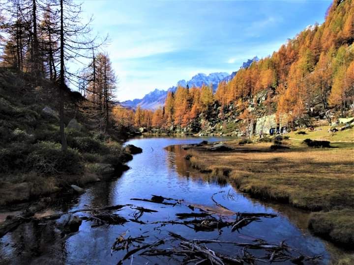 © Valentino Scrimaglia