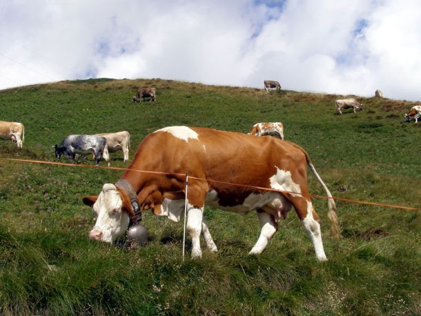 San Giacomo e il formaggio che nasce a due passi dal cielo