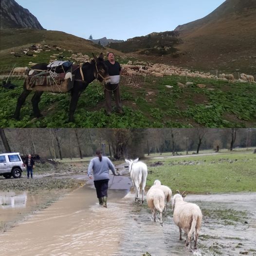 Pastori anzaschini duramente colpiti dall’alluvione